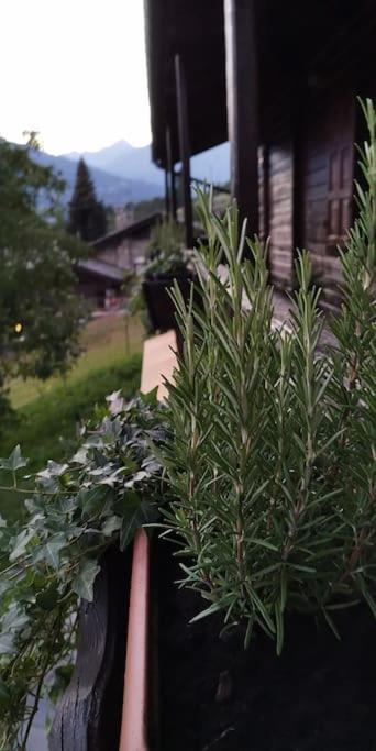 La Maison De Carmen Aosta Bagian luar foto
